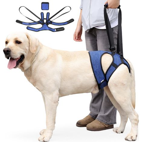 Harnais de Soutien des Pattes Arrière pour Chien - Aide à la Mobilité pour Chiens Blessés et Âgés (1/4)