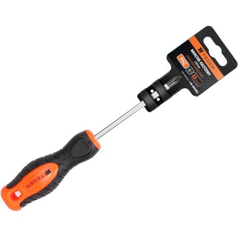 Cacciavite Phillips PH 2x100mm /teger (1/3)