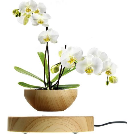 Magnetschwebe-Blumentopf, Luft-Bonsai-Schwimmtopf, drehbarer Blumentopf für Heimbüro-Ausstellungsdekoration (Pflanze nicht im Lieferumfang enthalten) (1/5)