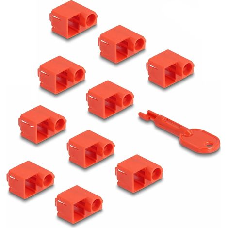 20929 DeLock Lot de 10 bloqueurs de fiches RJ45 - Lot de 10 bloqueurs de fiches RJ45 avec clé de verrouillage