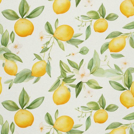 Tela decorativa para exteriores Oxford - Frutas cítricas - DX2939 (1/5)