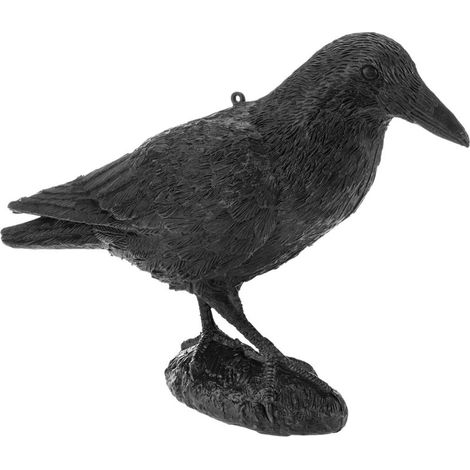 Répulsif à oiseaux type statue corbeau debout 16 x 50 cm (1/5)