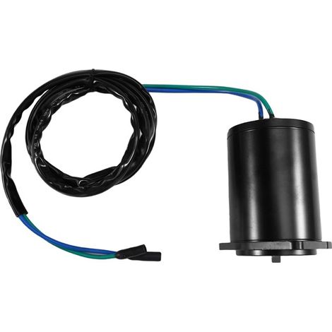Part numbers 688-43880-11 and 688-43880-10 are suitable for Yamaha outboard motor tilt adjustment motors. (1/5)