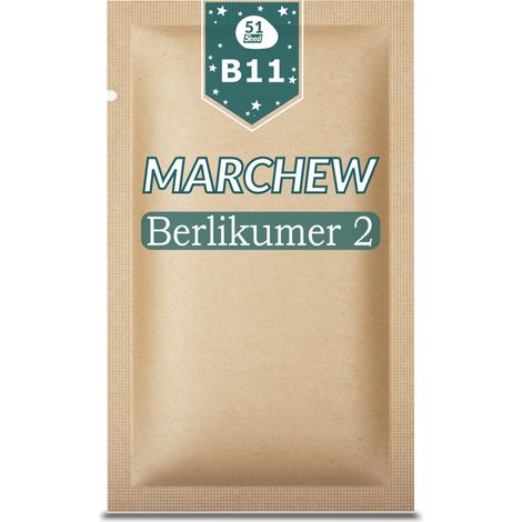 51Seed B11 CAROTA COMMESTIBILE BERLIKUMER 2 5G