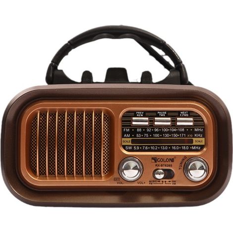 Radio Bluetooth - FM AM SW - Panneau Solaire Intégré - USB-C Rechargeable - Haut-Parleur Portable avec Support Smartphone - 12 H Autonomie