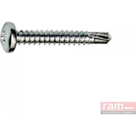 Ram   21841   BOITE PLASTIQUE DE 200 VIS AUTOPERCEUSES 4.8 x 1