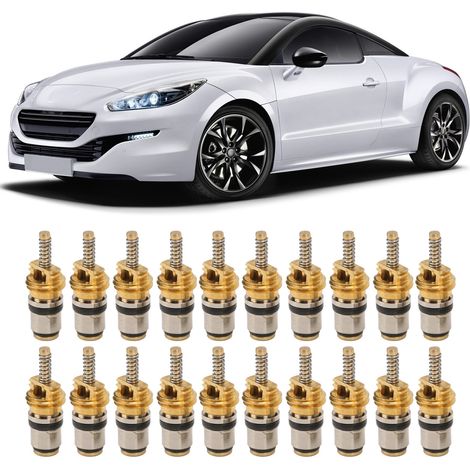 Packung mit 20 Hochdruck-Ventileinsätzen und -schäften für Kfz-Klimaanlagen, kompatibel mit Peugeot- und Citroën-Modellen (Referenz: LR-FT064) (1/5)
