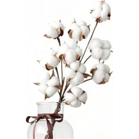 10 fleurs de coton séchées naturelles + 5 têtes de fleurs en coton, bouquet de fleurs de coton séchées, branches de coton, plantes séchées artificielles pour balcon, maison, table, compositions floral (1/4)