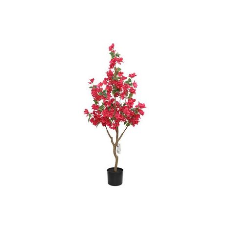 C BOUGANVILLEA 120 CM