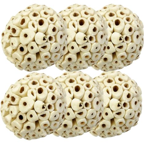 Boules alimentaires à ronger pour pattes et becs de petits animaux, naturelles et biologiques (6 unités)-AquaForge (1/5)