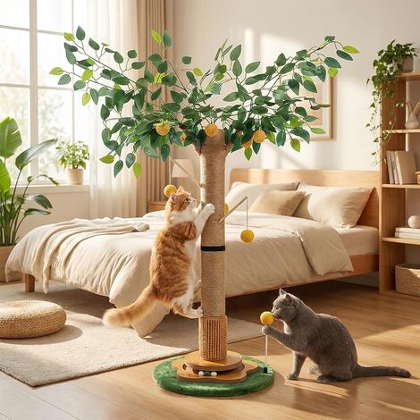 Árbol para gatos con cuerda de sisal de primera calidad - Pelotas interactivas - Juguete de interior - Para gatitos y gatos (1/5)