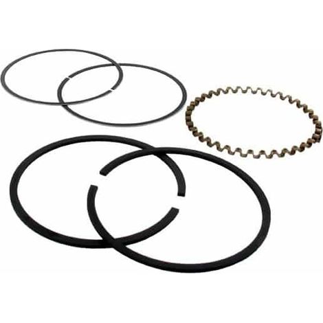 Segmenti BRIGGS et STRATTON 391783 - 394962