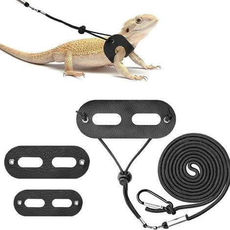 Guinzaglio e pettorina regolabili per lucertole drago barbuto - Set da 3 pezzi nelle taglie S, M, L - Materiale in morbida pelle - per draghi barbuti e piccoli animali domestici (1/5)
