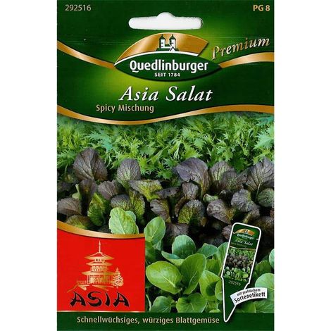 Quedlinburger Asia Salat Spicy Mischung - Premium Gemüsesamen (1/2)
