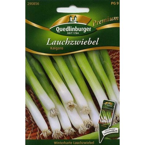 Quedlinburger Lauchzwiebel Kaigaro - Premium Gemüsesamen (1/2)
