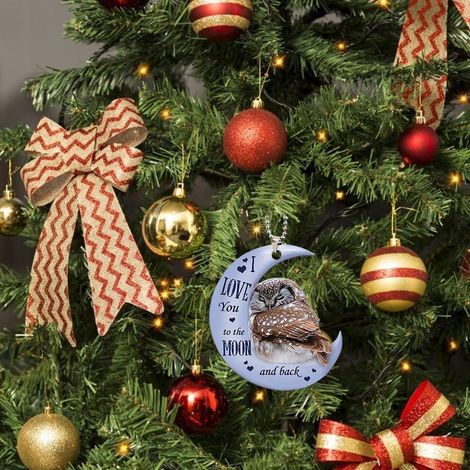 Lot de 3 décorations de Noël en acrylique représentant une grenouille sur la lune, à suspendre au sapin ou à la voiture. Idéal pour les fêtes. (1/5)