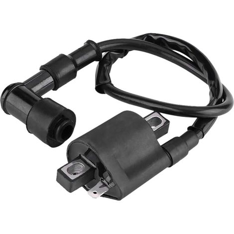 Bobina de encendido para scooters, bobina de encendido, bobina de encendido para motocicletas todoterreno MBK Booster, bobina de encendido para la mayoría de scooters y ciclomotores ATV de 150 cc, 200 (1/5)