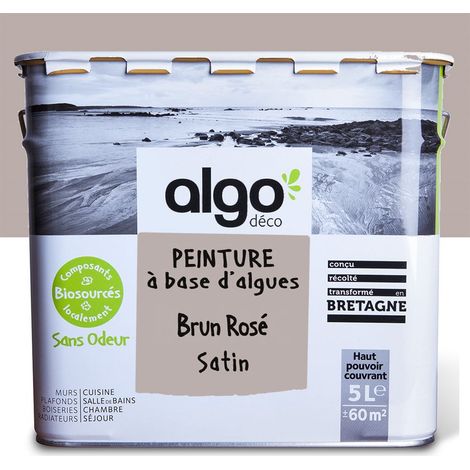 Peinture écologique Algo - Satin - Brun rosé - 5L (1/5)