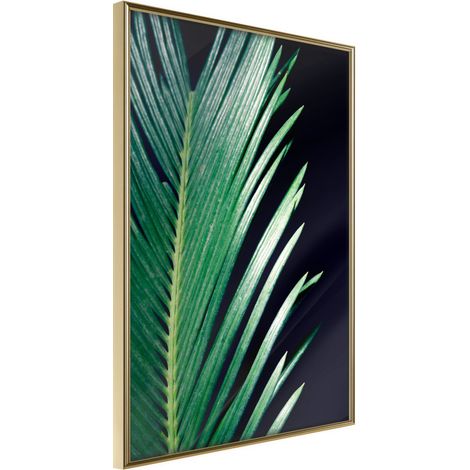 Affiche Murale Encadrée "Soothing Green" 40 x 60 cm Or (1/2)