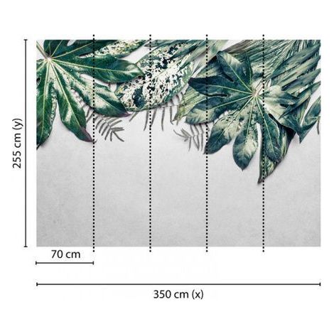 A.S. Creations – Papier peint panoramique vert et blanc motif feuille – Tapisserie nature pour bureau – Résistant à la lumière – Pose collée facile (1/4)