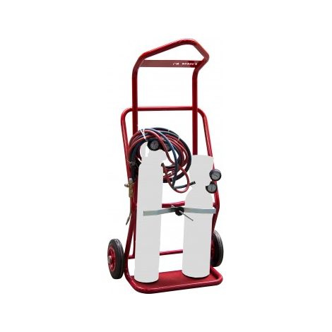 Sackkarre für 2 Flaschen, anschlagbar 100 kg - FIMM - 810008371