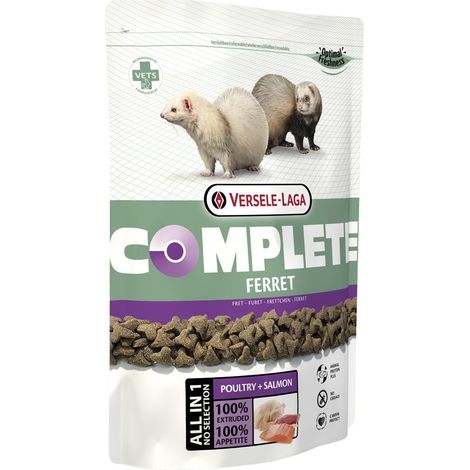 Terrarium-paludario Mini X-Tall 30x30x60cm – Habitat en verre pour espèces aquatiques et terrestres – Fond imperméable extra profond – Versele-Laga (1/4)