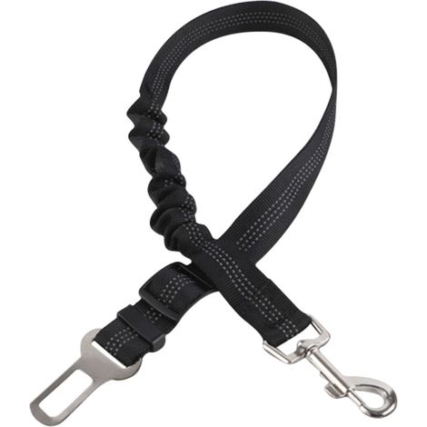 Elastische Hundeleine aus reflektierendem, geflochtenem Nylon, teleskopierbar, mit Verbindungsring aus Stahl für Spaziergänge im Freien. (1/5)