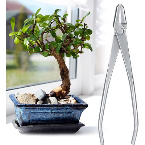 Gartenpflege-Knopfschneider aus Edelstahl, Bonsai-Modellierwerkzeug (1/5)