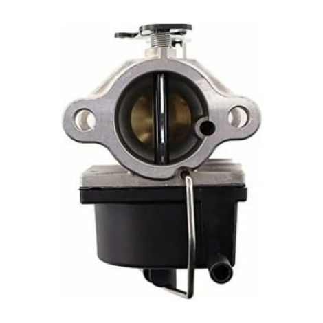 Carburateur filtre carburant et tuyau pour moteur Tecumseh 640065A compatible avec tondeuses gazon OHV VEILLEUSE (1/5)