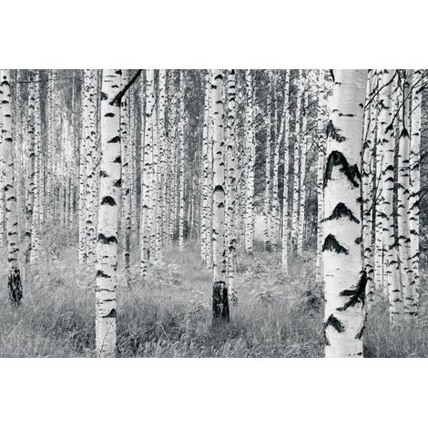 Papier peint panoramique modern,naturel Bois (1/4)