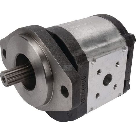 Pompa ad ingranaggi Polaris 30 CASAPPA PLP3027D004S5 (1/4)