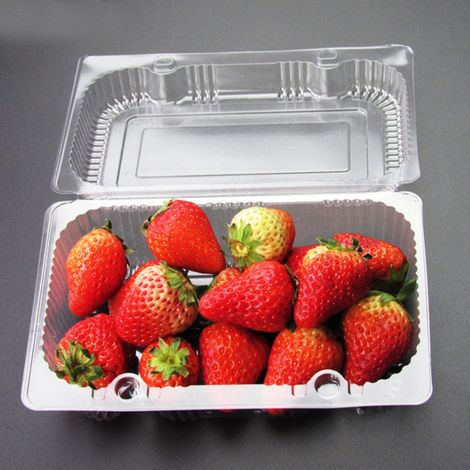 Lot de 25 boîtes de conservation jetables en plastique à charnière pour pains, fruits et légumes, 18,5 x 12,5 x 7 cm (1/5)