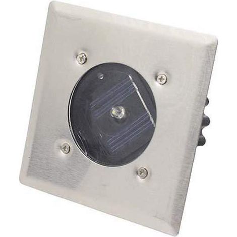 Lampe Solaire Au Sol - LED Blanc Froid - IP65 Étanche - Pour Jardin Pelouse Chemin - Lot De 4 (1/5)