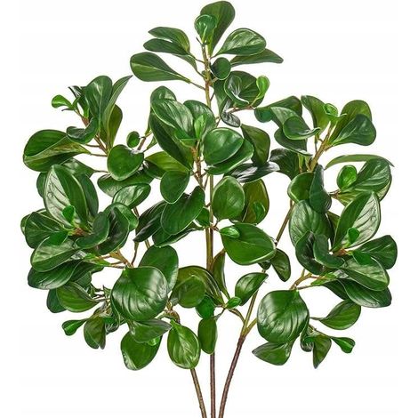 Rami artificiali di Peperomia, 69 cm, 3 pezzi - foglie decorative verdi (1/3)