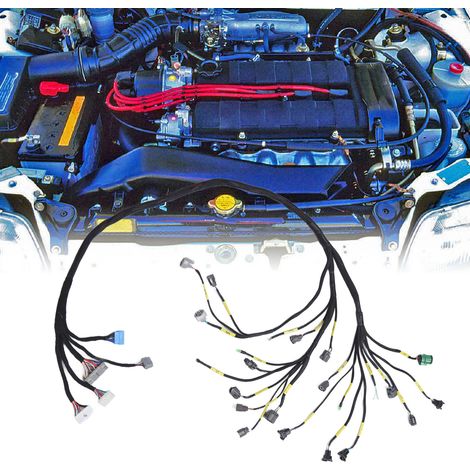 Faisceau de câblage moteur OEM : CNCH-OBD1-1 pour Honda Civic Integra B16 B18 D16 (1/5)