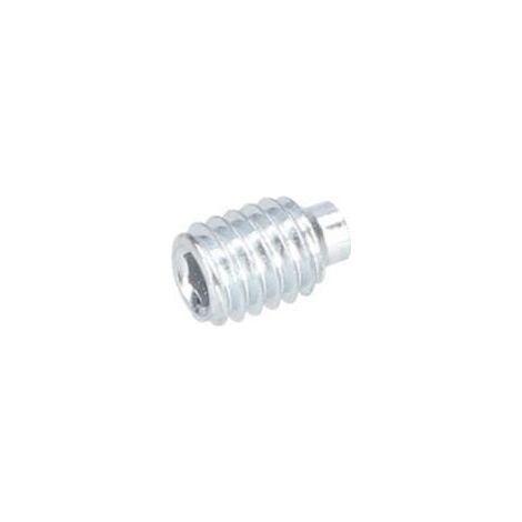 Vis sans tete pour Meuleuse droite BOSCH OUTILLAGES - 2912081116