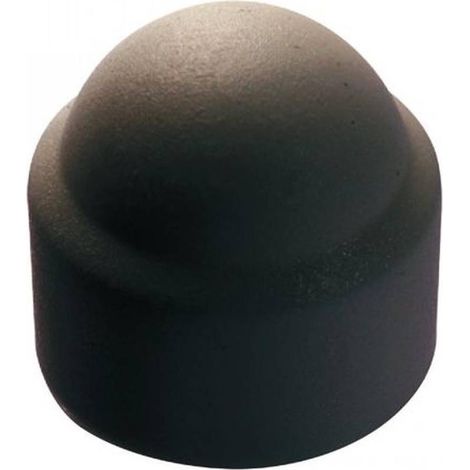 100 Caches Ecrous Hexagonaux Gris Anthracite - Ral 7016 M10 mm - Polyethylene - D-Work