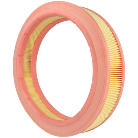 Accessori per Aspiratori Festool CT17 VCP170E VCP171E - 1 Filtro AUTRES