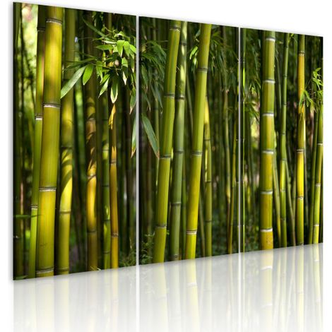 Tableau Imprimé "Bambou & Vert" 40x60cm (1/2)