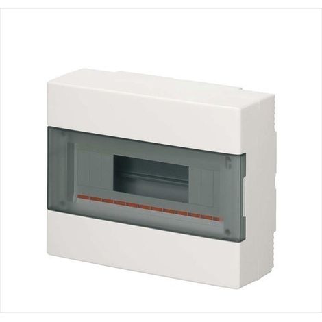 Centralina Parete Ip40 Portella Trasp.12Moduli B (Elettrocanali Cod. Ec60012B)