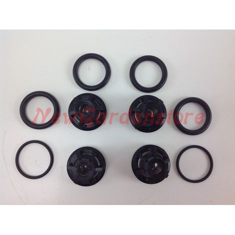 Kit valvole UNIVERSALE pompa Bertolini 55S 002856