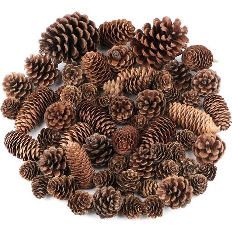 Tannenzapfen – 60er-Pack – Naturfarbene Großpackung, groß, mittel und klein – Rustikale Tannenzapfen-Dekorationen für Tisch, Weihnachtsbaum, Bastelarbeiten und Geschenke (1/5)