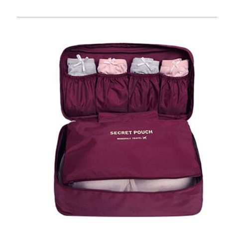 Sac de voyage multifonctionnel pour sous-vêtements, sac de rangement pour soutien-gorge, sac de rangement pour vêtements et culottes (1/5)