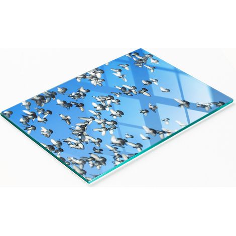 Tabla de cortar de cristal para cocina con decoración gráfica de una bandada de palomas, 80 x 52 cm. (1/5)