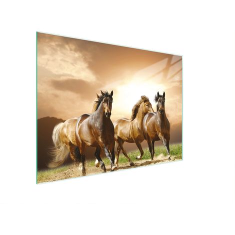 Planche à découper en verre 30x22 chevaux (1/5)