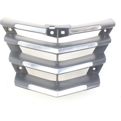 GRILLE RADIATEUR PEUGEOT CITYSTAR 125 2011 - 2017 (1/4)