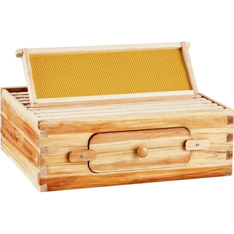 Conjunto de colmena, madera natural, ventanas acrílicas, transparente (1/2)