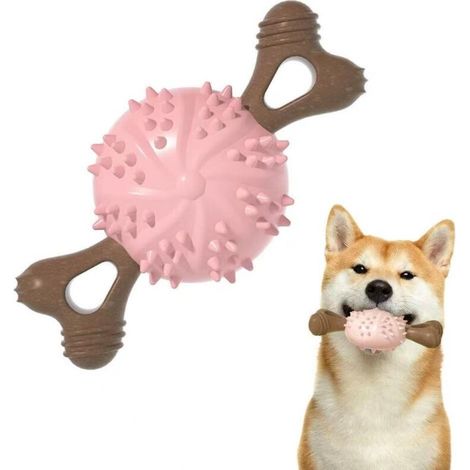Balles à mâcher pour animaux, bâtonnets de dentition pour chiens, jouets d'interaction pour le jardin, adaptés aux chiens de petite et moyenne taille. (1/4)