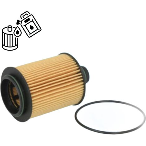 Filtro de aceite NewParts Filters MF64000 (1/5)