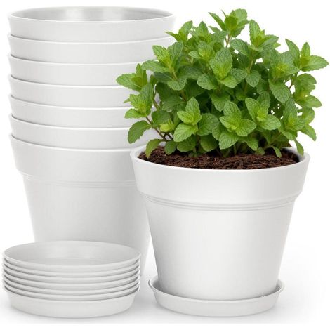 8er Set Blumentöpfe mit Untersetzer 10cm Weiß für Kakteen & Kräuter (1/5)